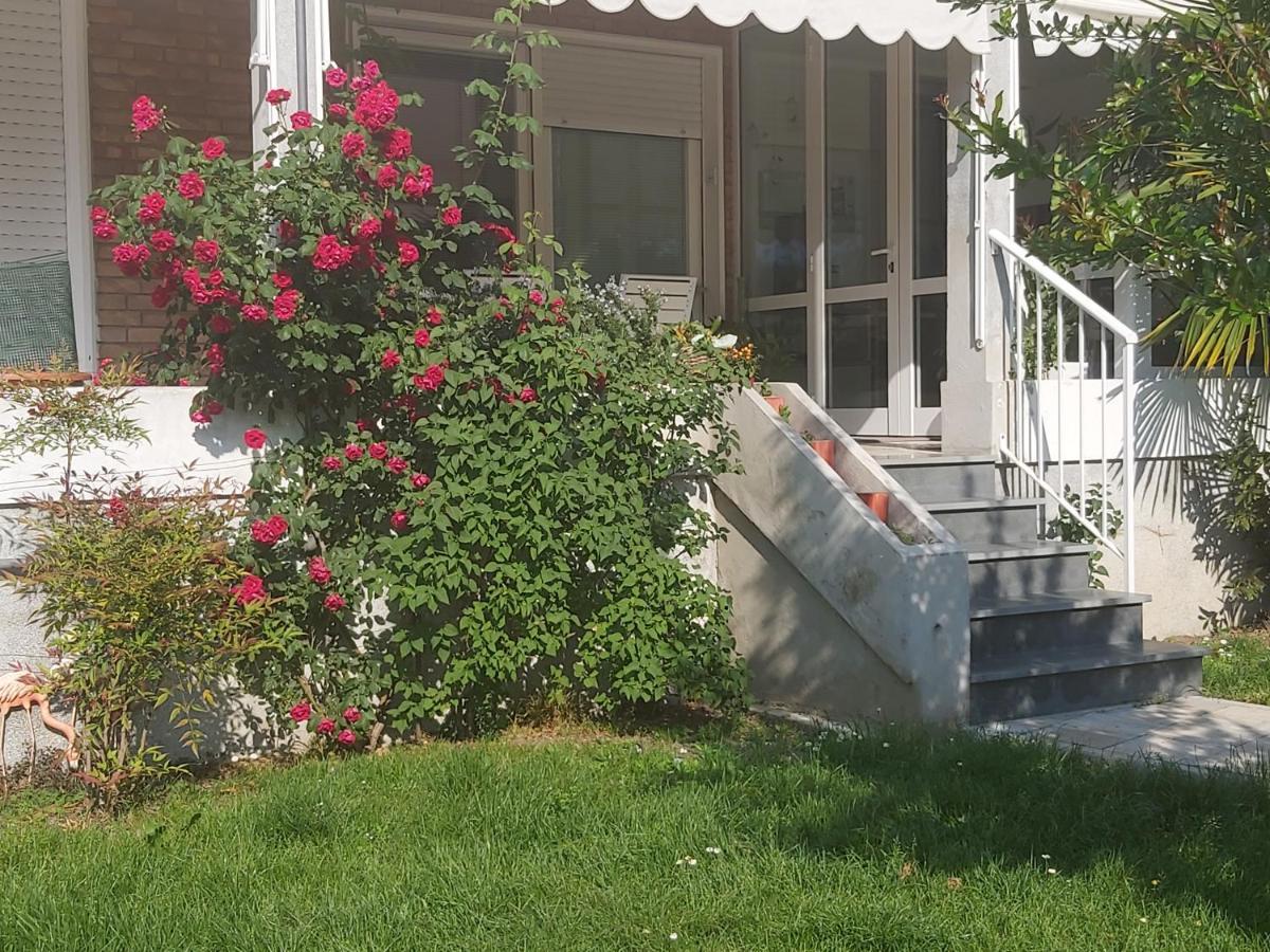 Villa Silvia Olivetti Banchette D'Ivrea Bagian luar foto